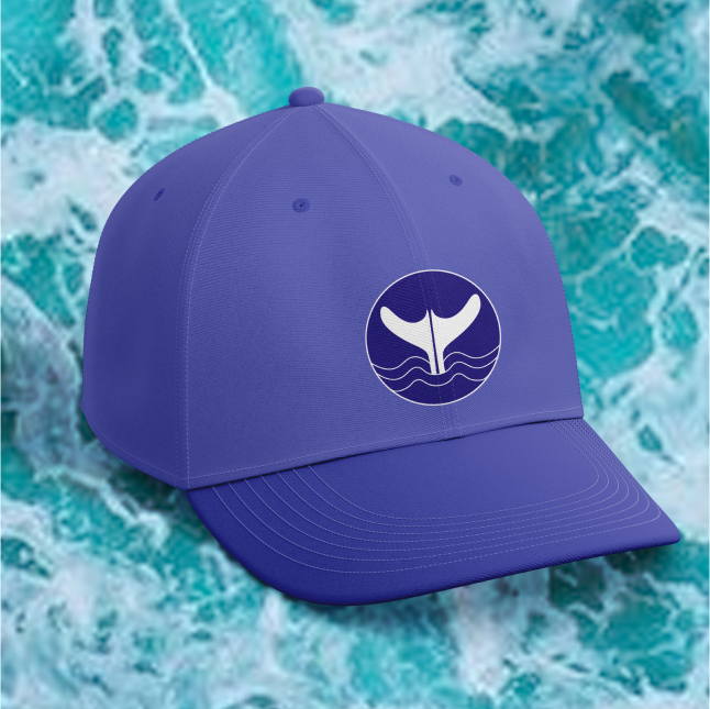 surf
